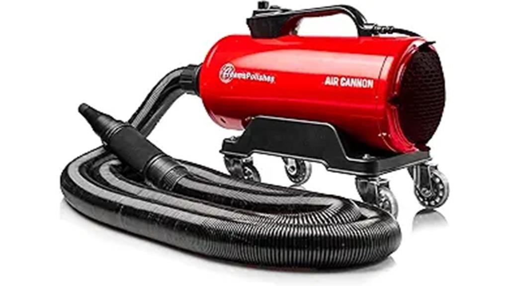 air cannon car dryer