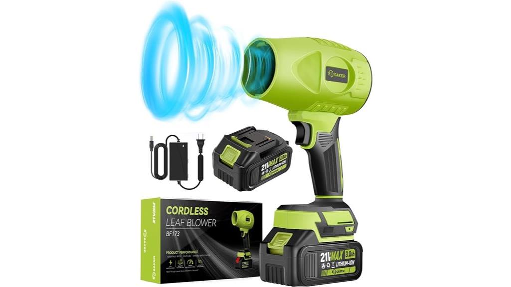 cordless leaf blower set