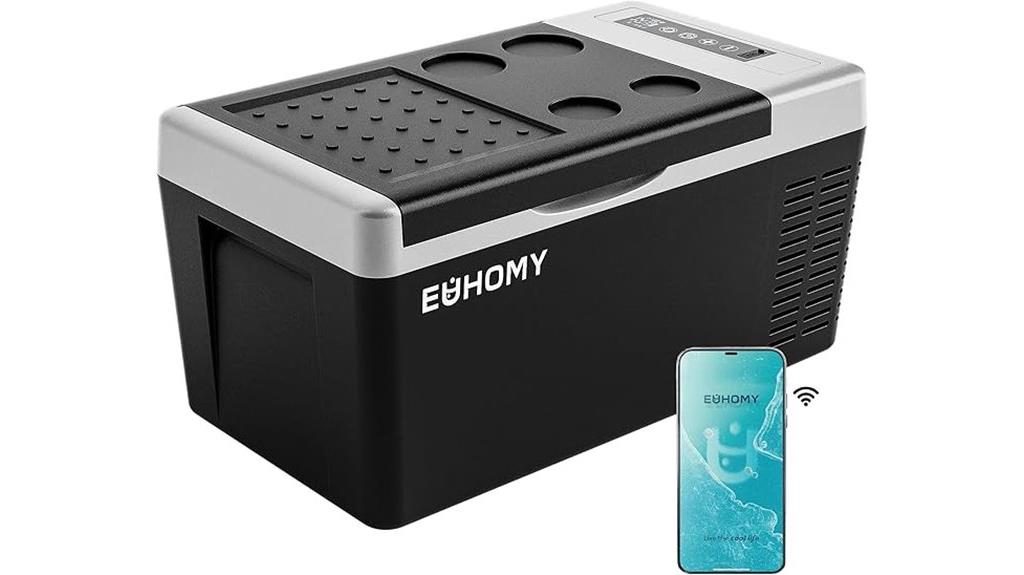 portable 12v refrigerator