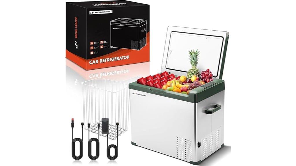 premium 12v car cooler