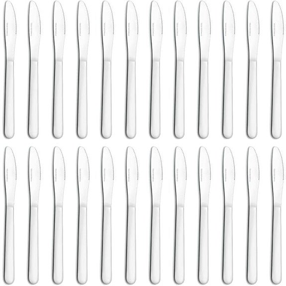 24 Pieces Stainless Steel Dinner Knives Set