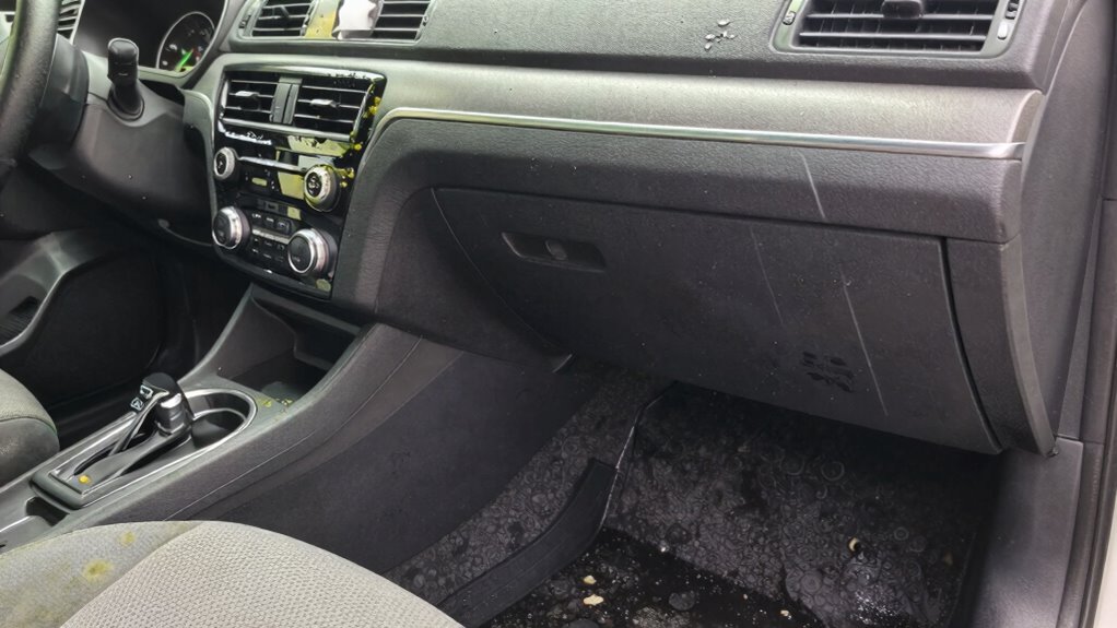 check for mold and dampness