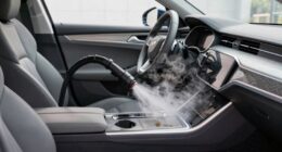 limitations of steam cleaning