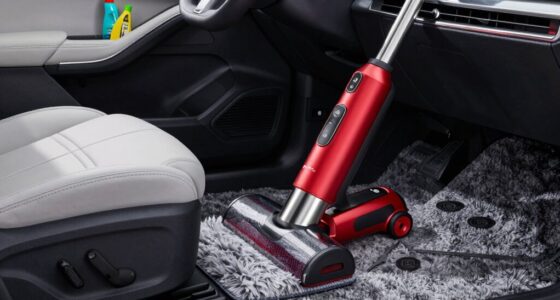 top portable carpet extractors