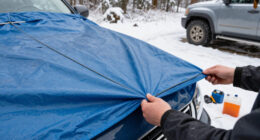 Campers Are Wrapping Their Cars In Tarps To Keep Antifreeze-Addicted Marmots Away